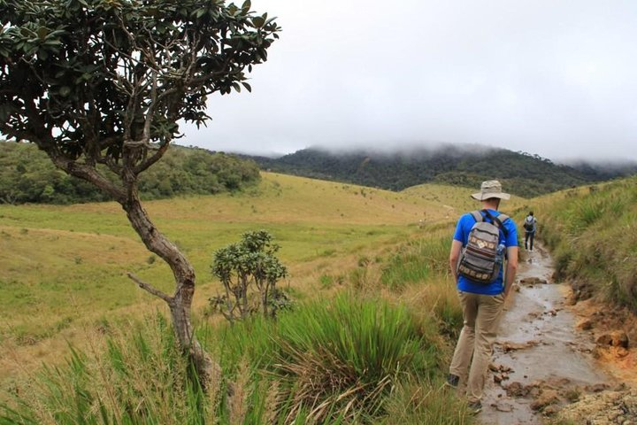 Horton Plains National Park